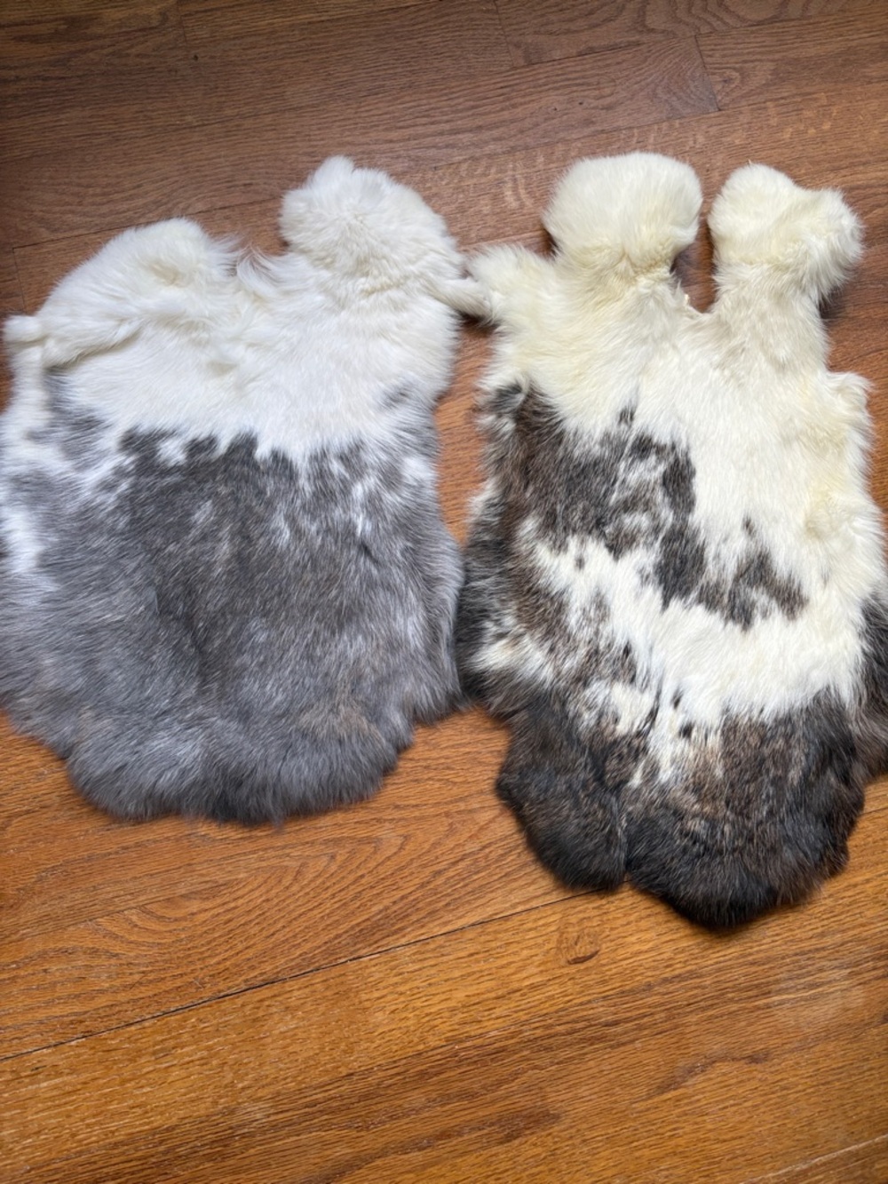 0856 Pair of rabbit pelts